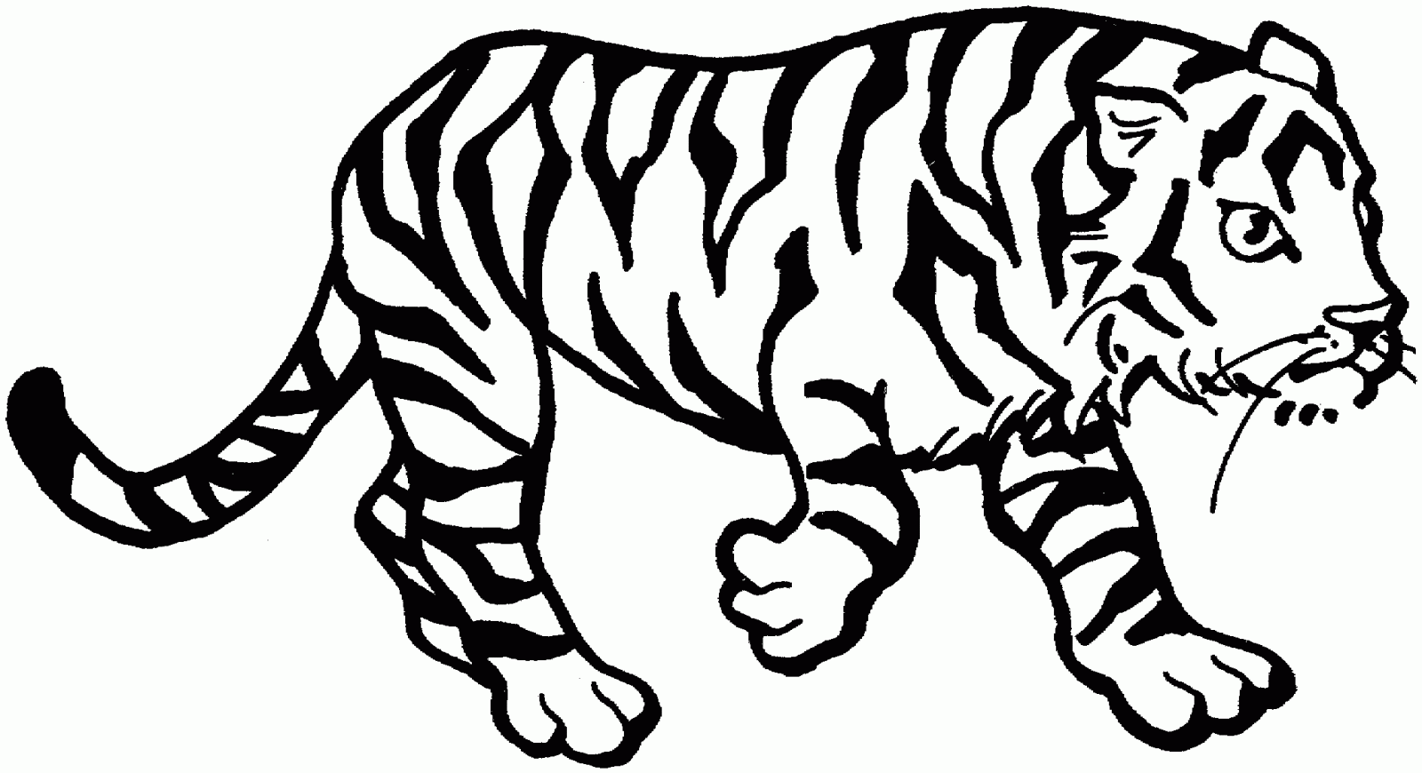Dibujo Para Colorear De Tigres Imágenes Y Fotos