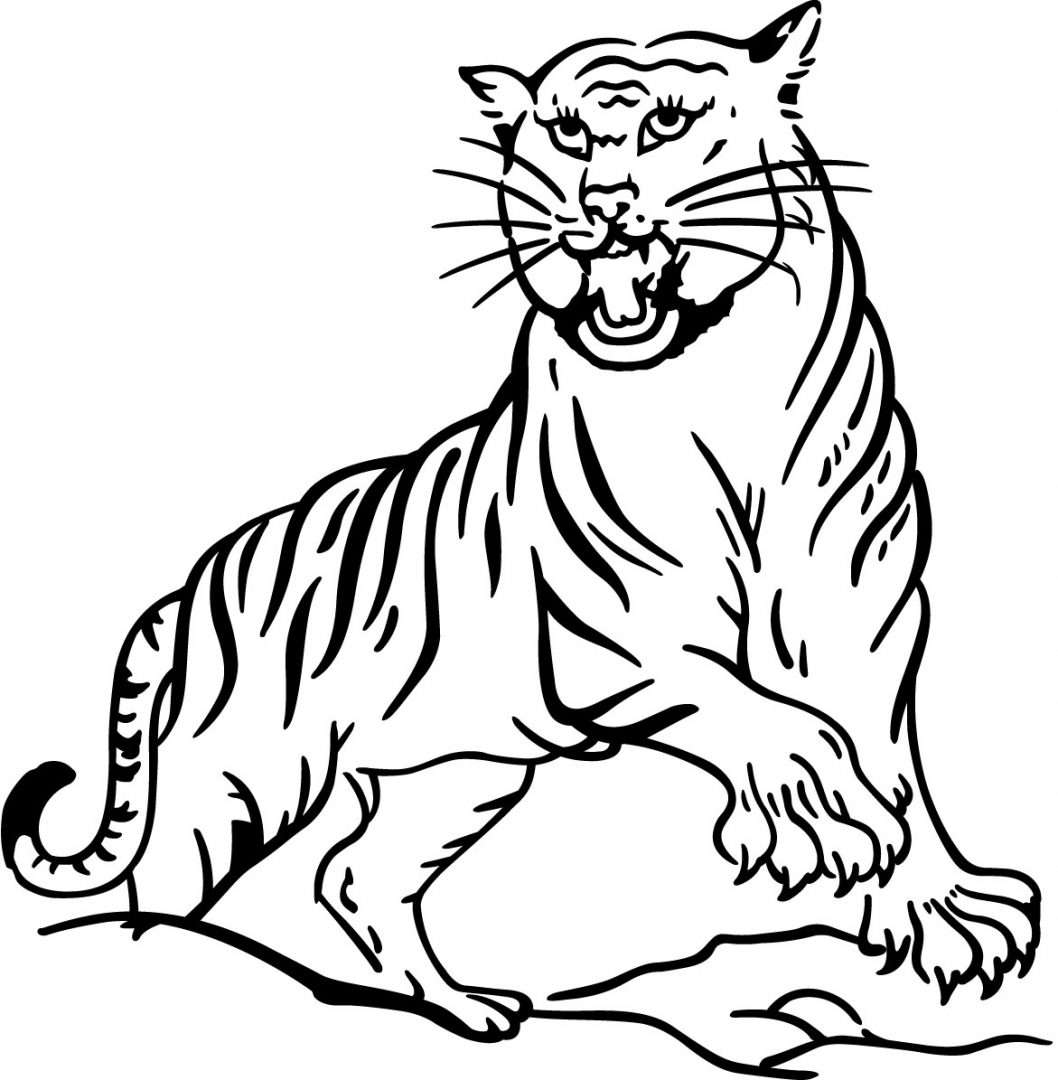 Dibujo para pintar de tigres