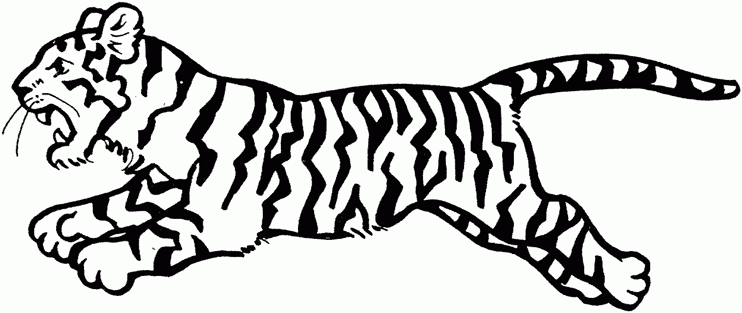 Dibujos de tigres