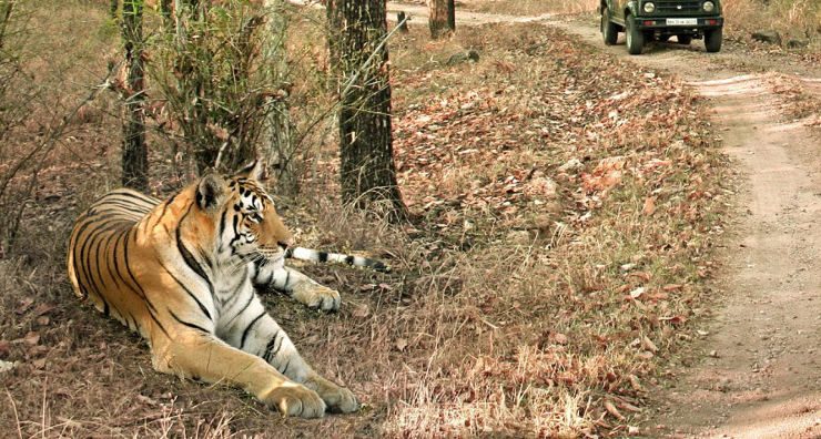 Parque Nacional de Sundarbans